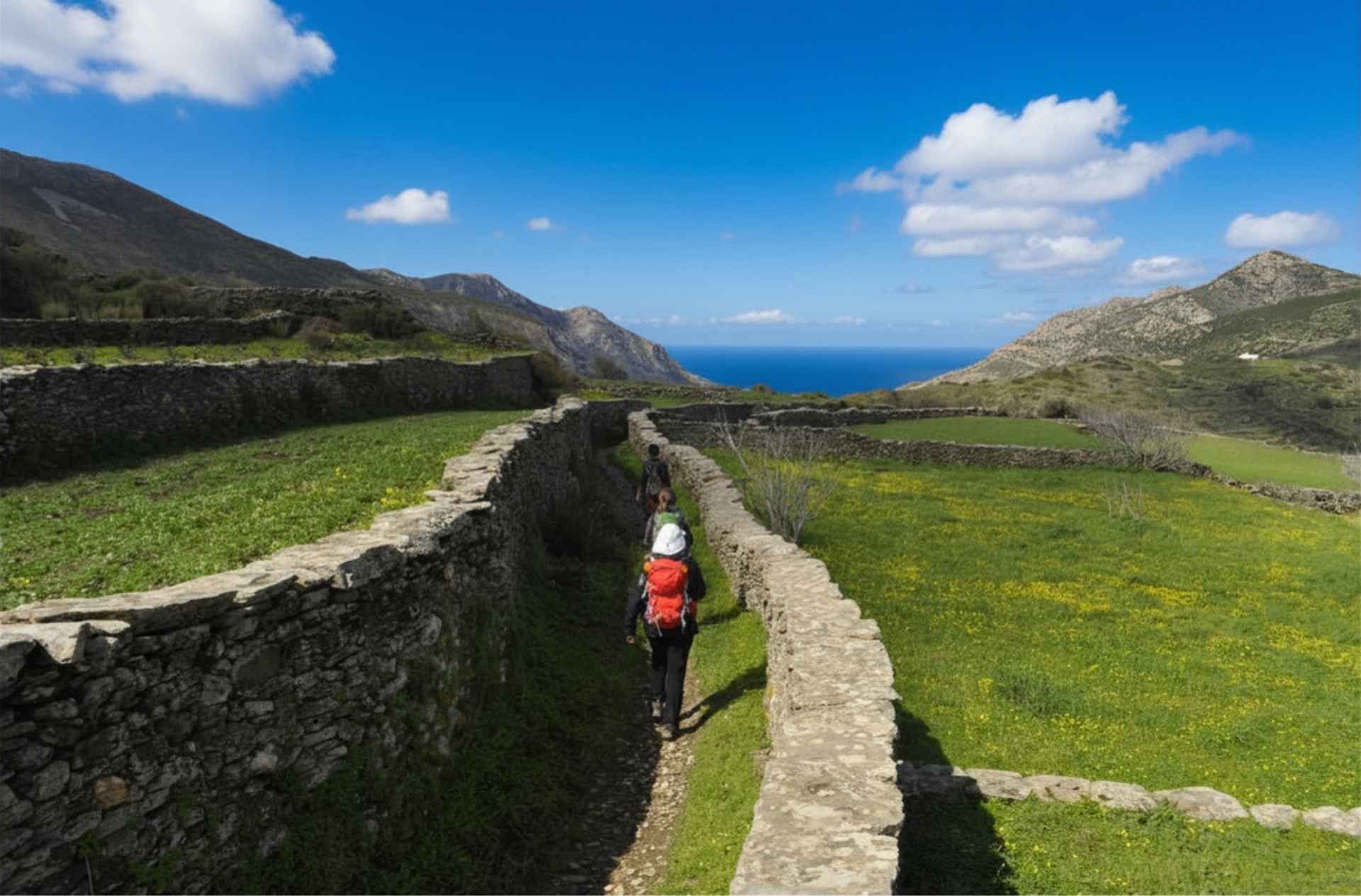 Hikers walking on a built trail with green fields and sea at the background