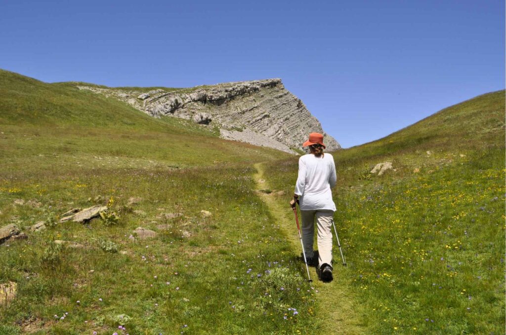 Hiker walking on a lush green mountain path under a clear sky in Zagori - Hike Greece